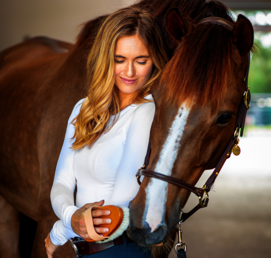SP RHODES Best Custom Equestrian Gifts And Brushes