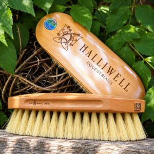 SP Rhodes dandy brush with natural bristles shown from the side, its wooden back engraved Halliwell Equestrians, photographed outdoors on green foliage