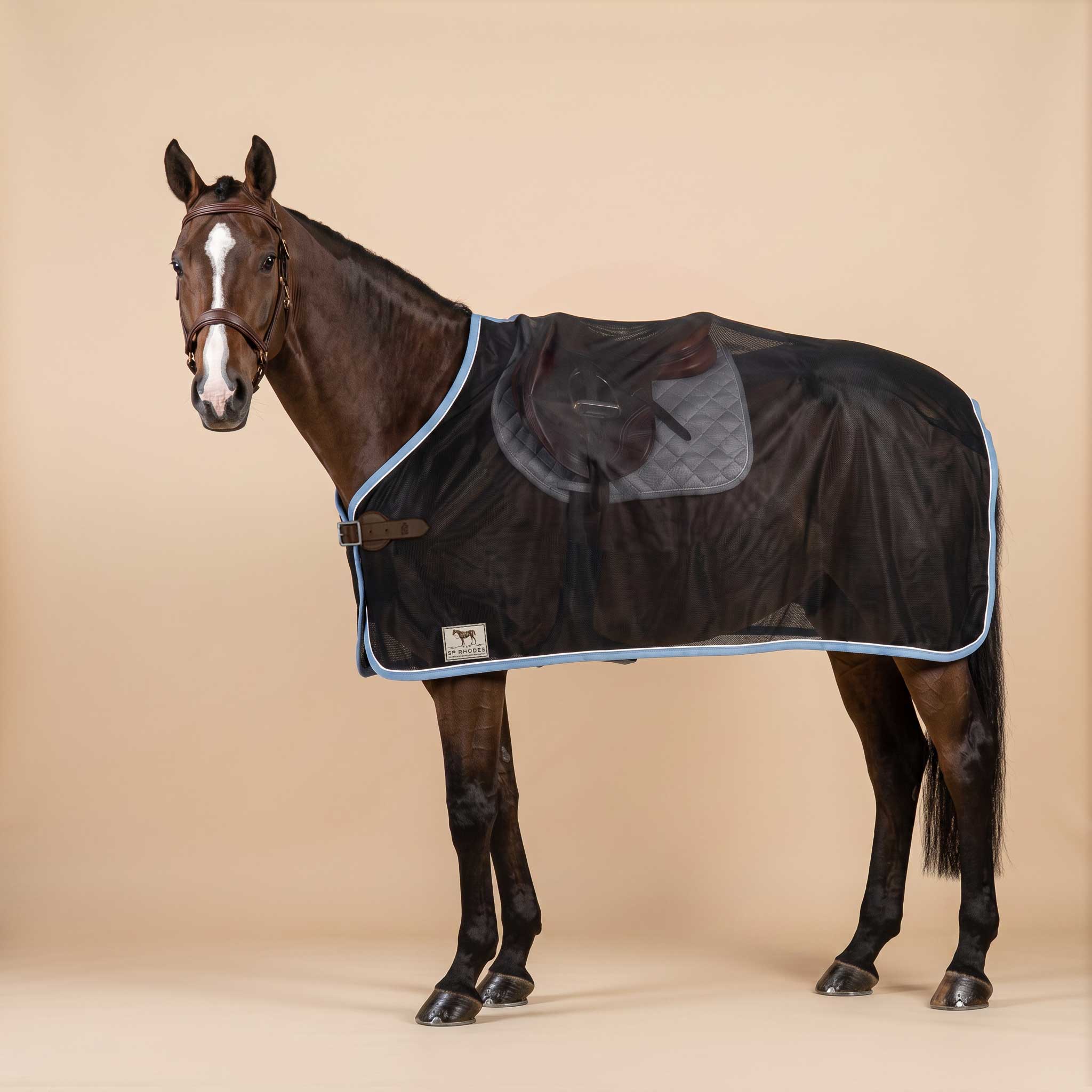 Black Custom Horse Scrim Lightweight Mesh horse Show Sheet