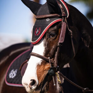Horse Ear Bonnets