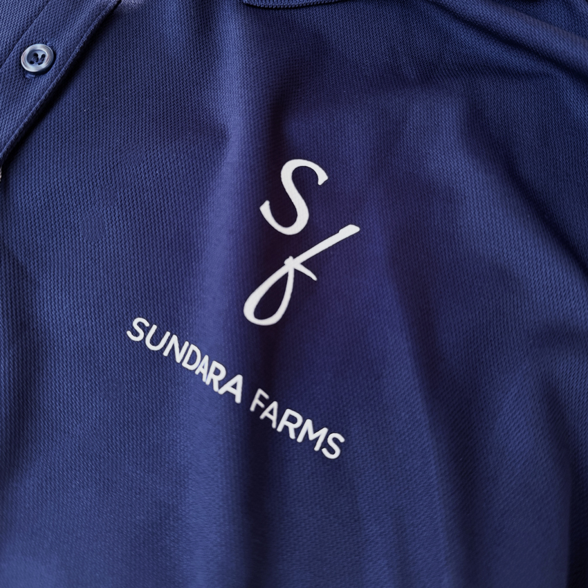 Full-colour DTF logo application on technical equestrian apparel