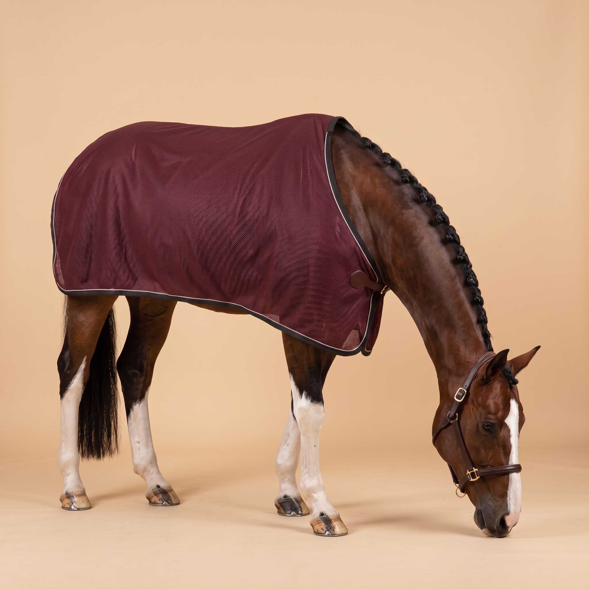sp rhodes custom maroon horse scrim 1