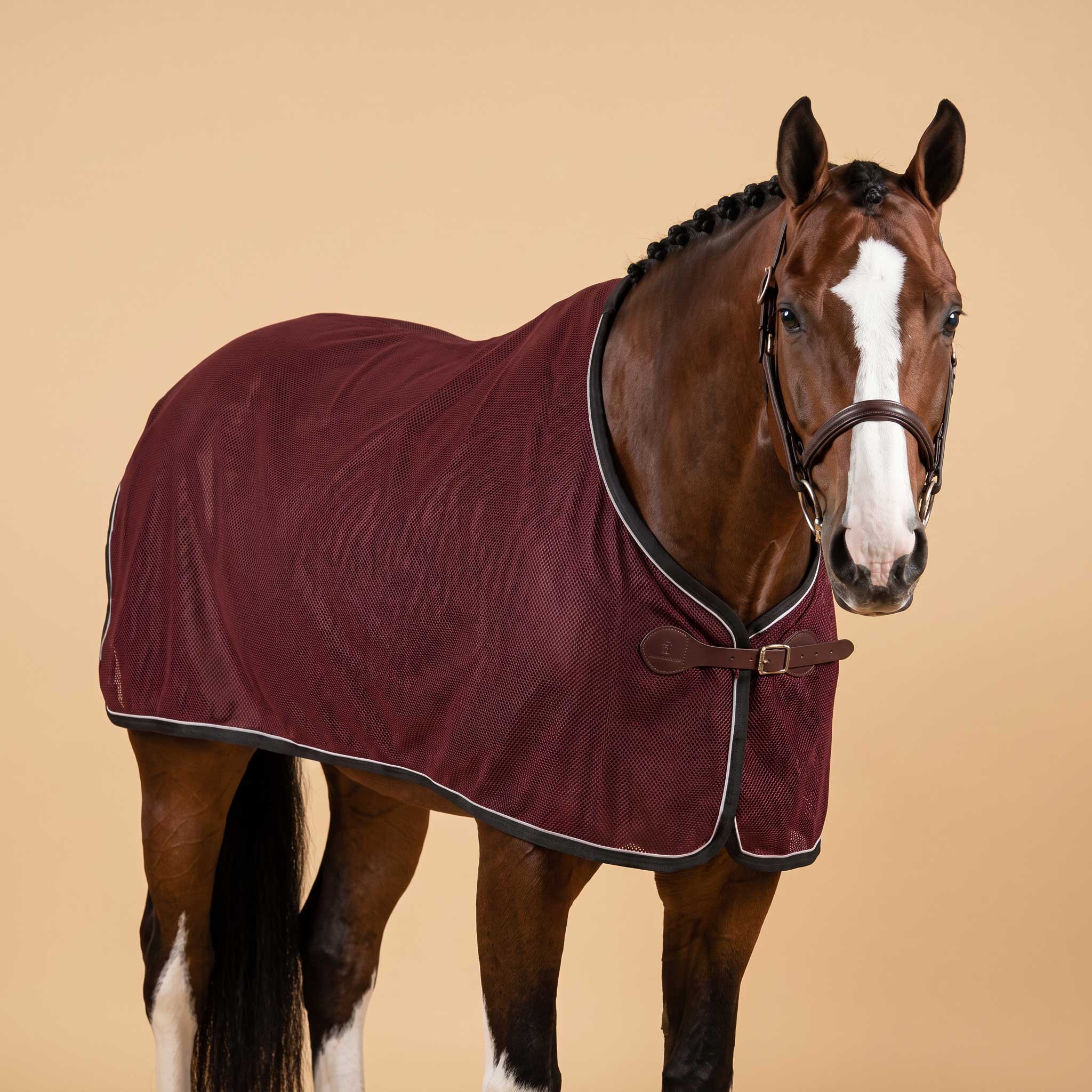 sp rhodes custom maroon horse scrim