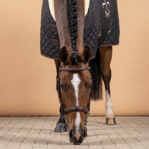 SP Rhodes Custom Horse Wear