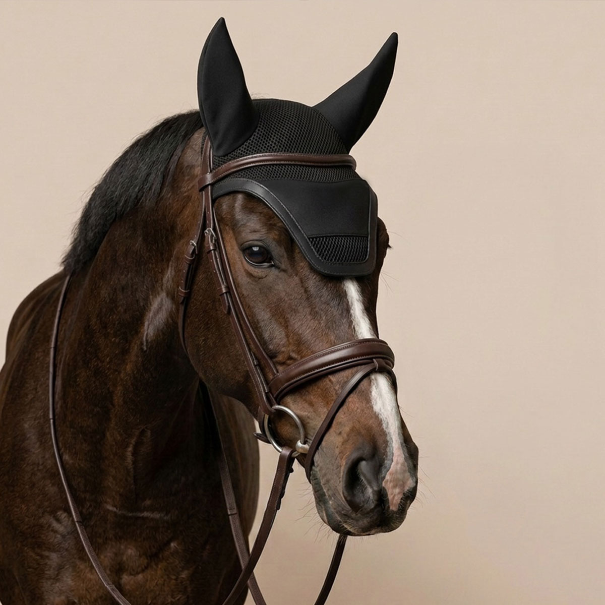 Homepage 42 sp rhodes personalized black horse bonnet